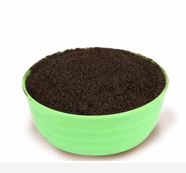 黃金葛移植後爛根怎麼回事？-花卉網的回答