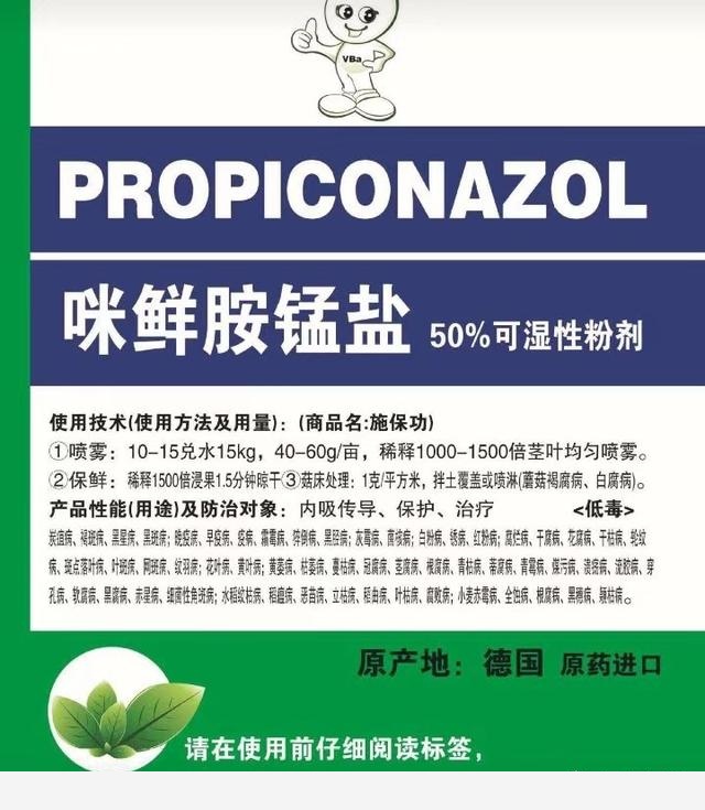 黃金葛葉子發白怎麼辦？還能綠過來嗎？-閉花落雨的回答