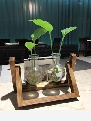 這黃金葛是什麼病？-農姑涼子的回答