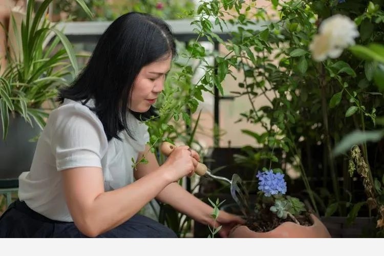 忘憂草的陽臺— 怡情園