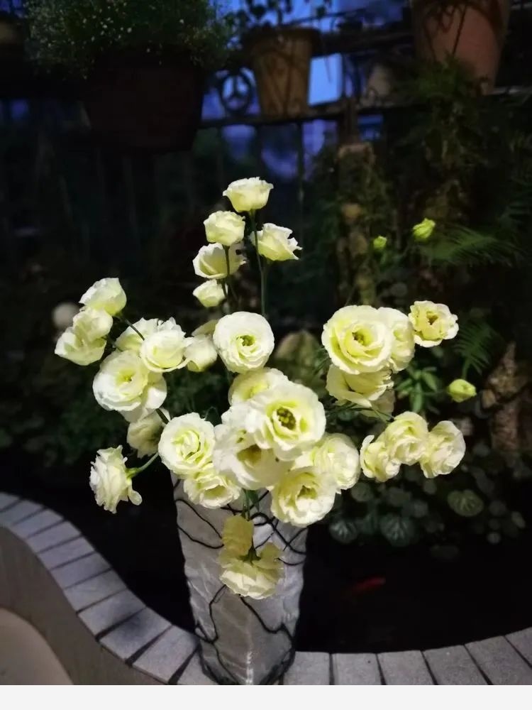 一花一世界
