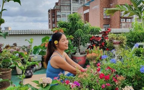 梅子的御花園