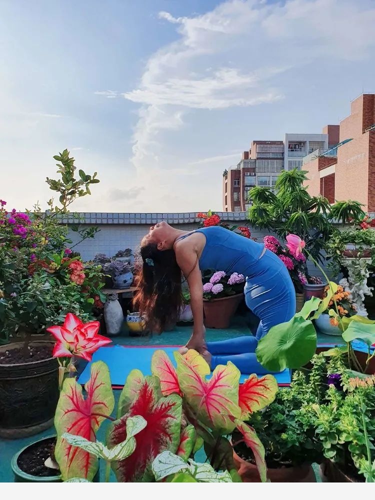 梅子的御花園