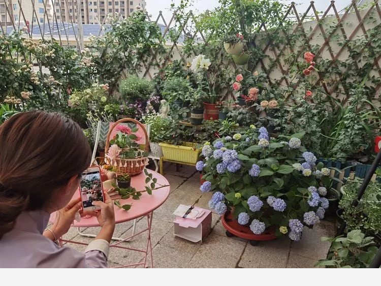 拾芳園花匠小白造園記