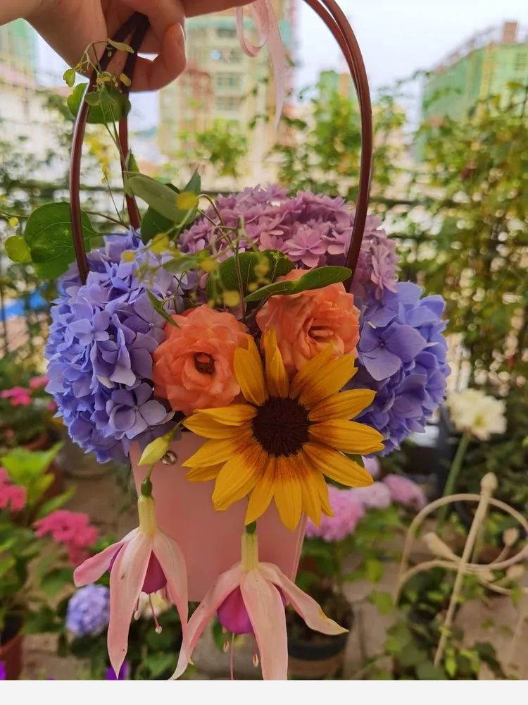 拾芳園花匠小白造園記