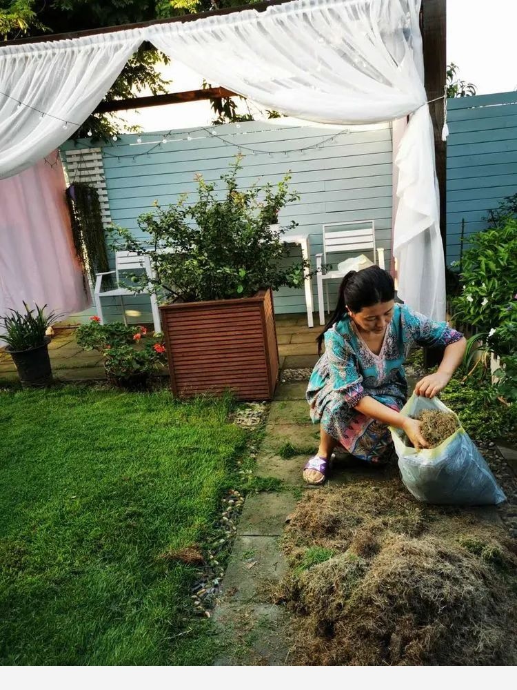 芳草園