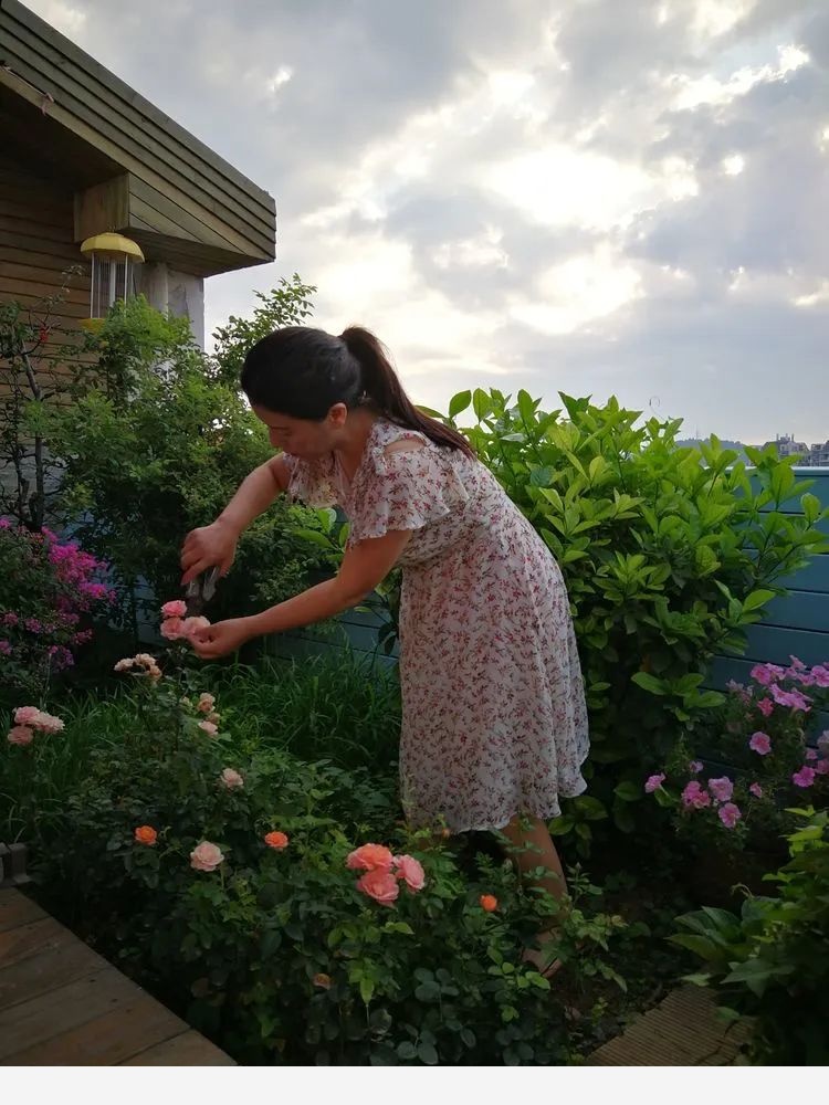 芳草園