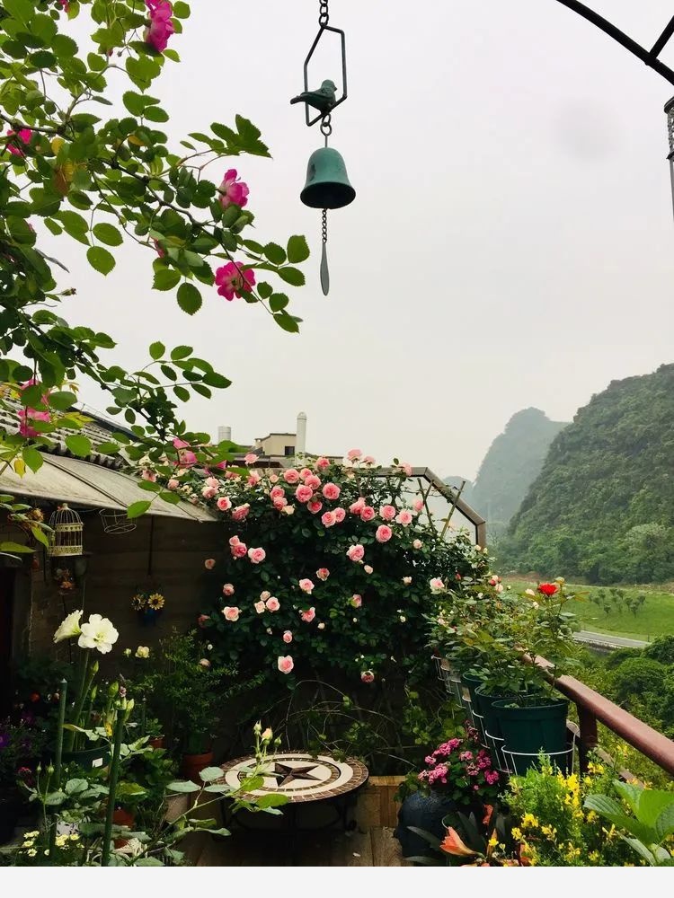 Miss lee瑤瑤&臨湖花園