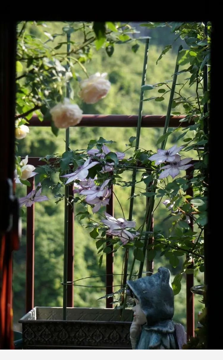 Miss lee瑤瑤&臨湖花園