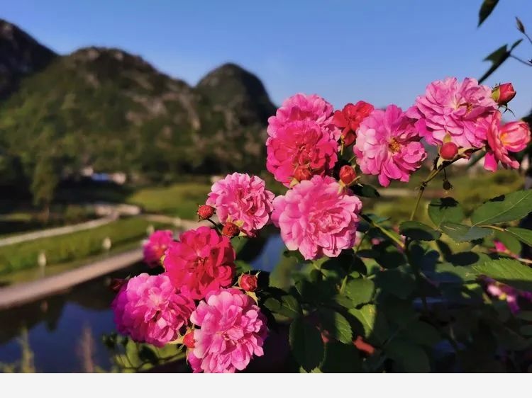 Miss lee瑤瑤&臨湖花園