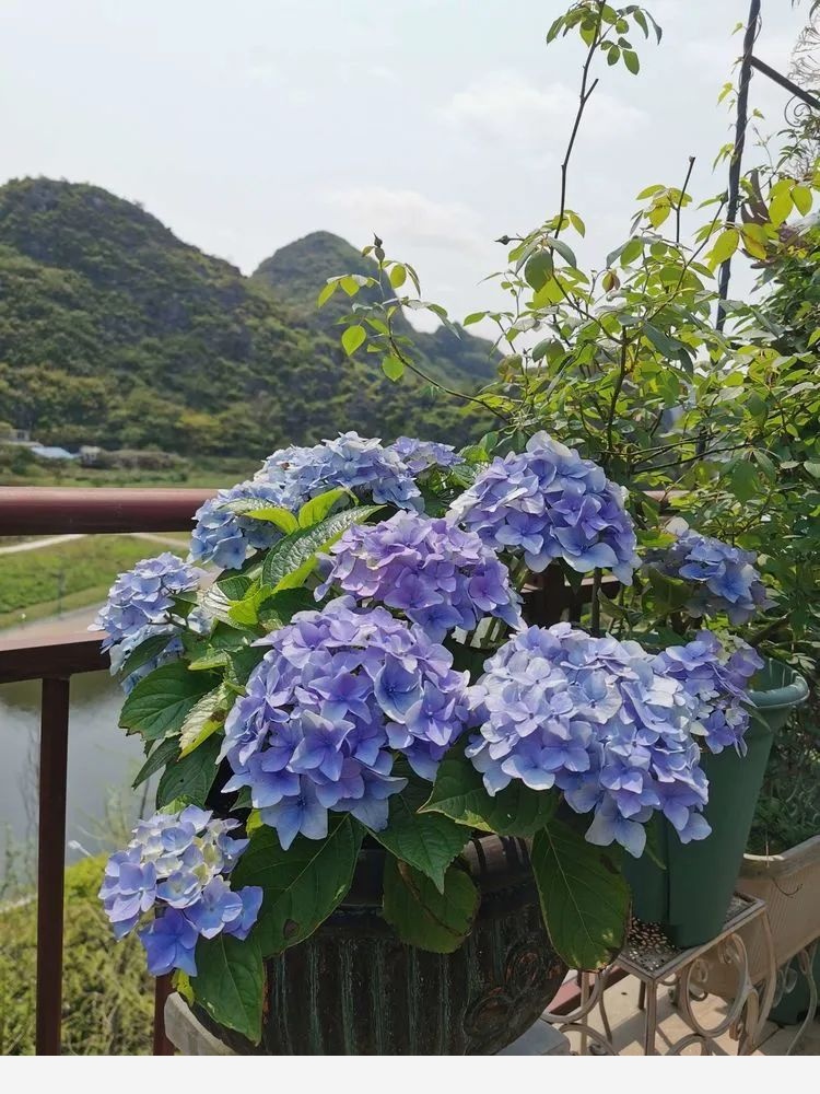 Miss lee瑤瑤&臨湖花園