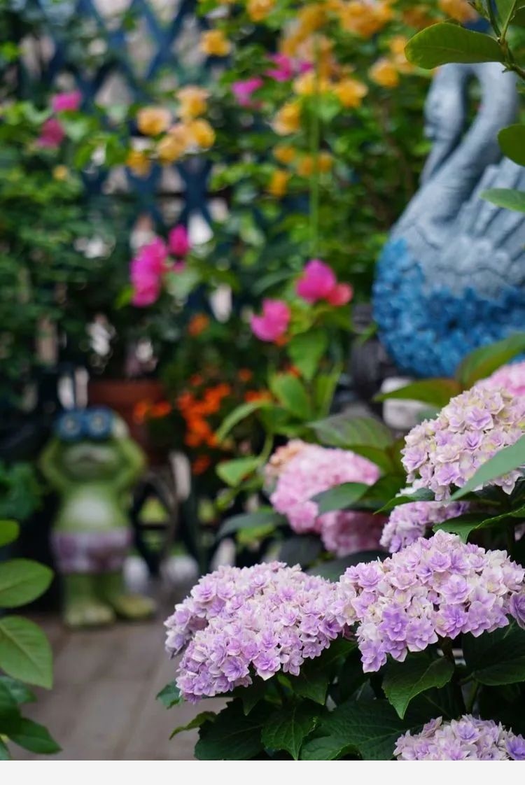 Miss lee瑤瑤&臨湖花園