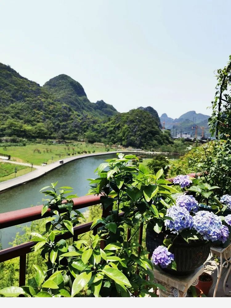 Miss lee瑤瑤&臨湖花園