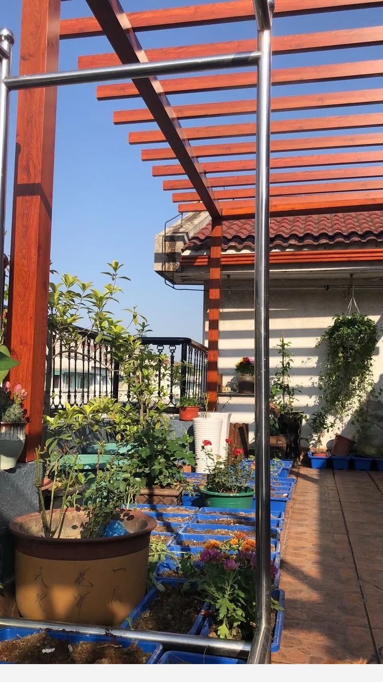 甄妮的花園