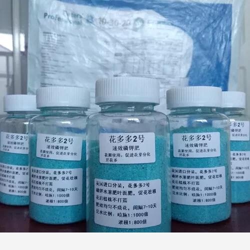 養花用什麼肥料好？-養花匠小齊的回答
