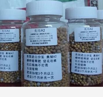 養花用什麼肥料好？-養花匠小齊的回答