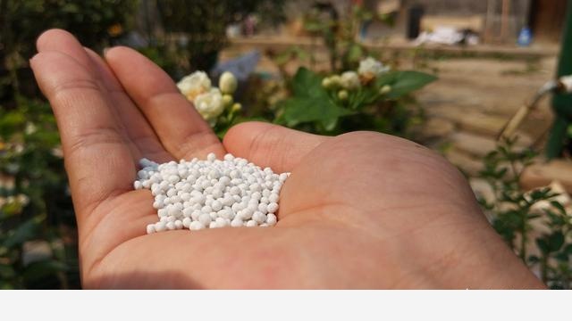 養花用什麼肥料好？-書香庭院的玉痕的回答