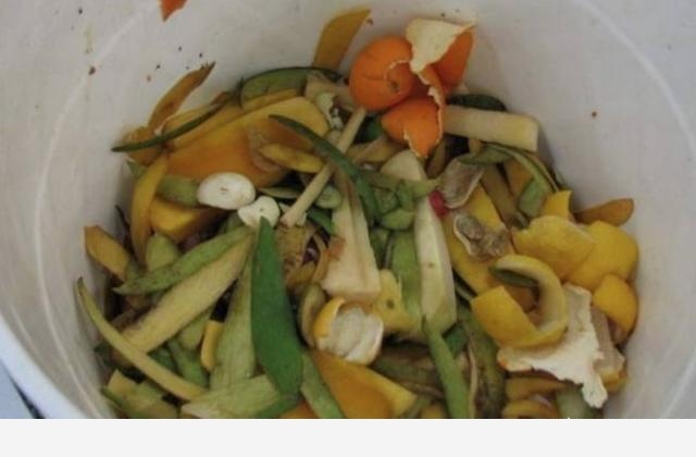 養花用什麼肥料好？-養花那點事的回答