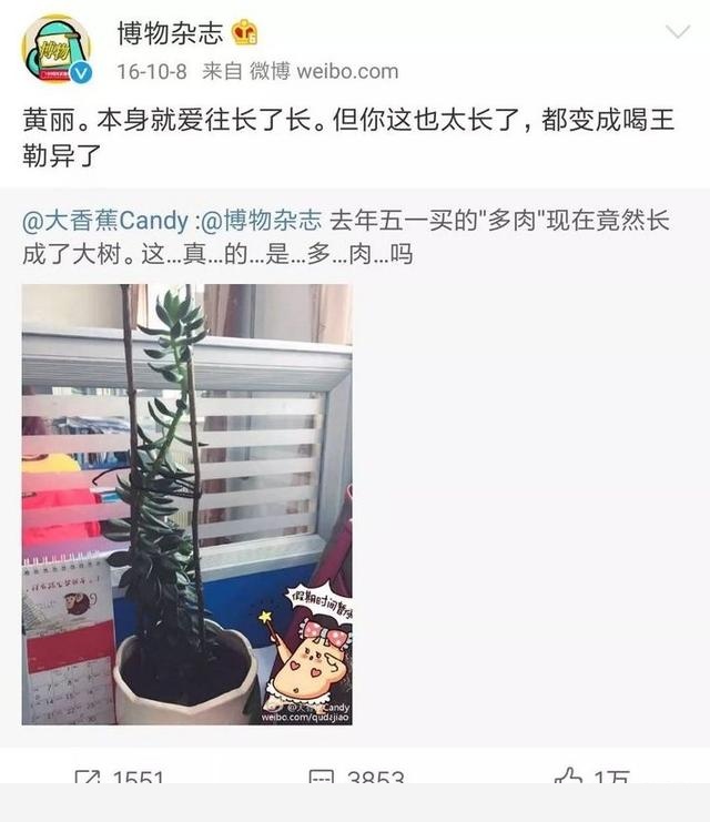 如何在房內種大量的花草綠植？-一兜糖家居APP的回答