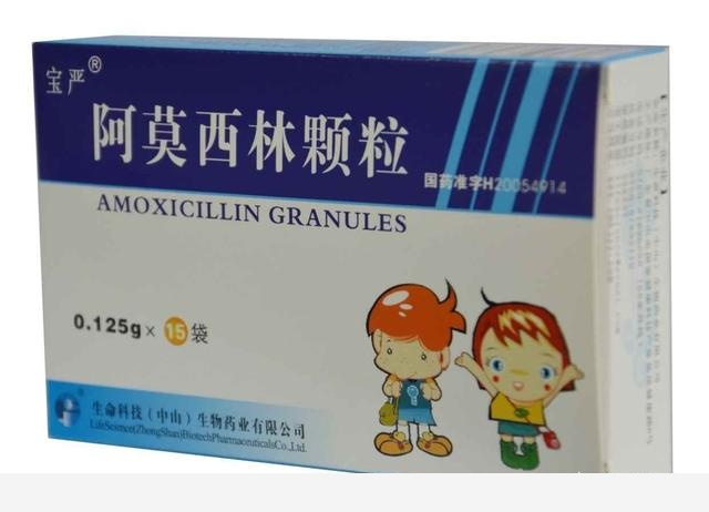 隨著冬季的到來，如何讓盆栽花安全過冬？-劉子恆Lockie的回答