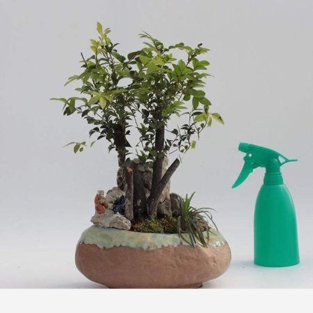 怎麼澆花，花才不會死？-木頭工程師的回答
