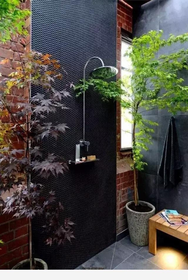 為什麼在樓房裡養花難成活？-清雅草木間的回答