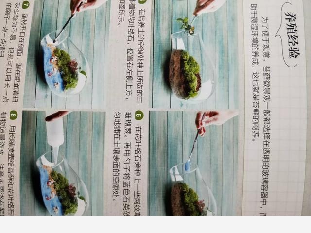 如何養花？從哪學習？-藝橋莊園的回答