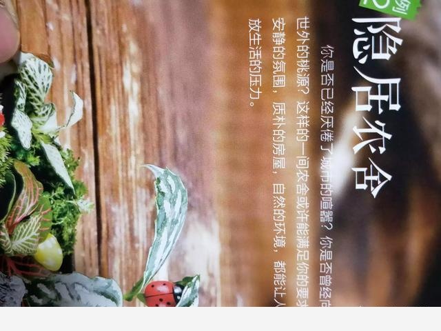 如何養花？從哪學習？-藝橋莊園的回答