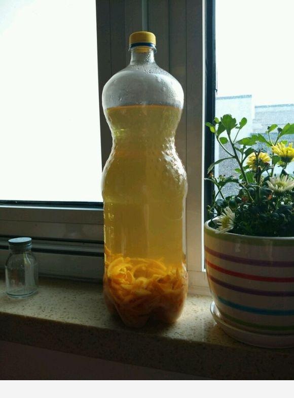 橘子皮如何用來養花？-空間收納大師的回答