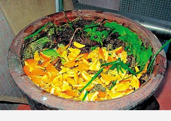 橘子皮如何用來養花？-空間收納大師的回答