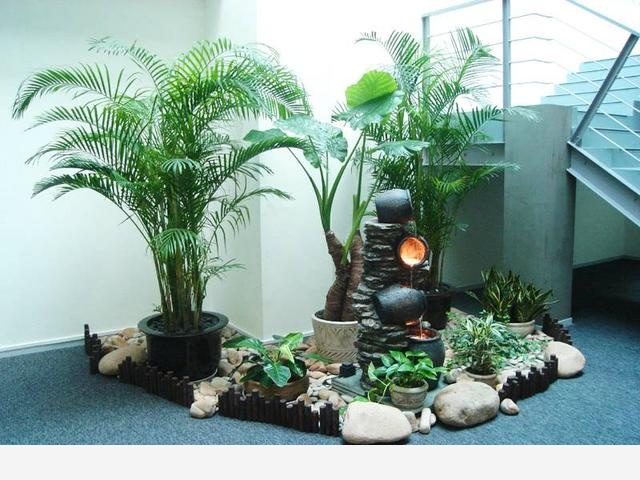 隨著冬季的到來，如何讓盆栽花安全過冬？-種在陽臺上的回答