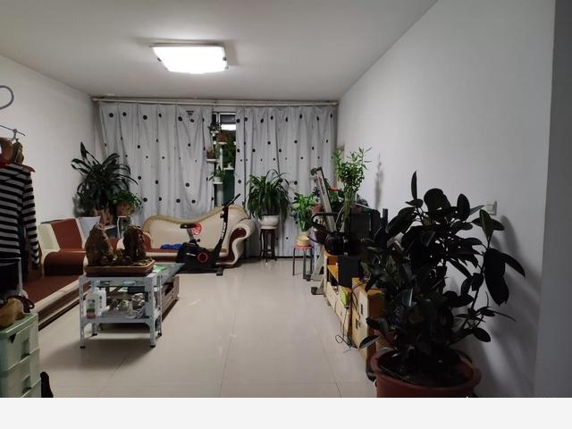 隨著冬季的到來，如何讓盆栽花安全過冬？-星空51234的回答