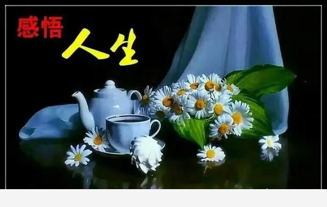 隨著冬季的到來，如何讓盆栽花安全過冬？-平凡di世界的回答