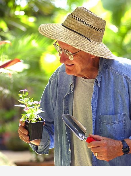 花盆土壤板結怎麼辦？-空間收納大師的回答