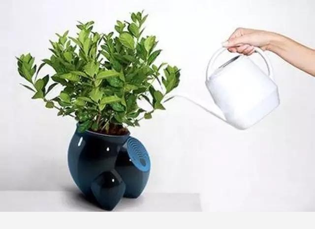 花盆土壤板結怎麼辦？-植物達人説的回答