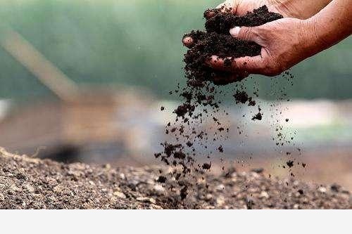 花盆土壤板結怎麼辦？-陽臺花園菜園的回答