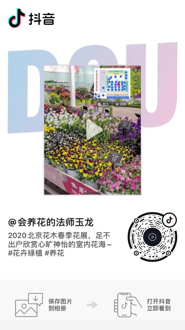 盆栽花卉，該怎麼養殖？-會養花的法師玉龍的回答