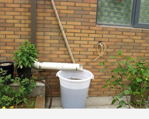 家中養花，最適合用什麼水澆花？-陽臺花園菜園的回答