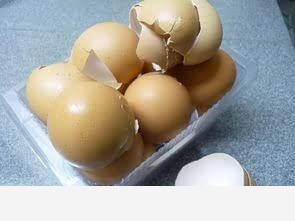 如何用雞蛋殼給花施肥？-養花大全的回答