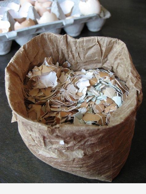 如何用雞蛋殼給花施肥？-空間收納大師的回答