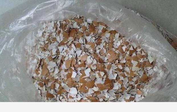 雞蛋殼能不能養花？-小雅在陽臺的回答