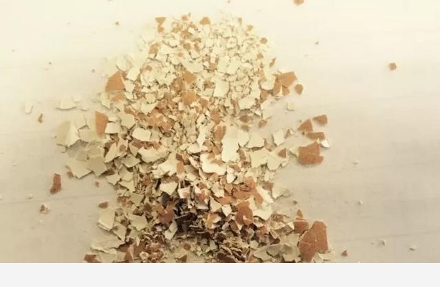 雞蛋殼能不能養花？-園林匠心的回答