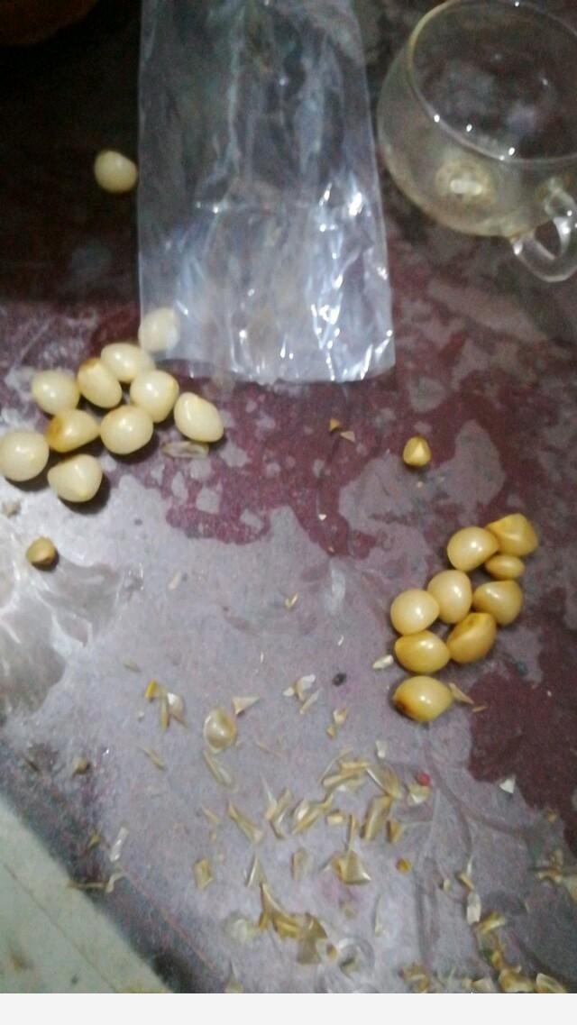 君子蘭養殖技巧有哪些？-花為媒蝶戀花的回答