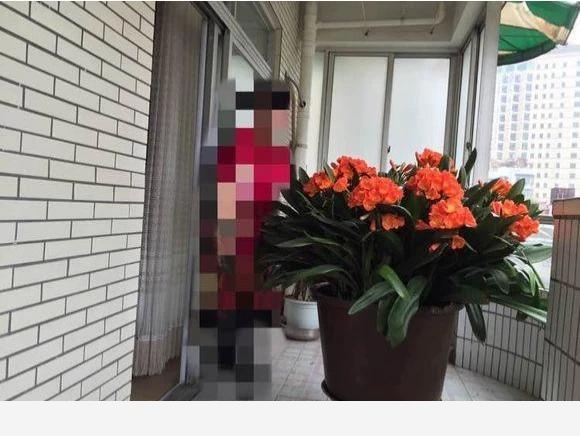 怎麼養好君子蘭和文竹？-花卉妹妹的回答