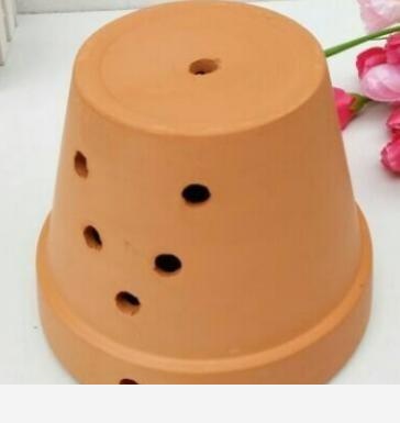 可不可以給我普及一個養花小知識？-閉花落雨的回答
