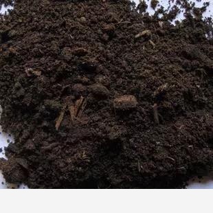 花卉怎樣施肥，有什麼技巧？-小雅在陽臺的回答