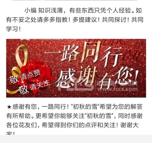 有哪些適合擺在室內的植物？-初秋之雪的回答