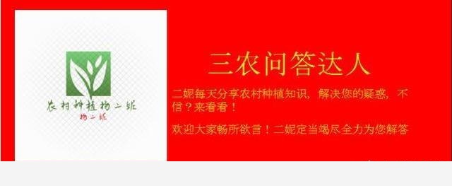 水養花卉用哪些肥料？-農村種植楊二妮的回答