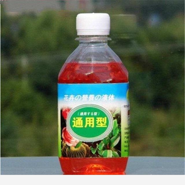 水養花卉用哪些肥料？-頂哥園藝家的回答