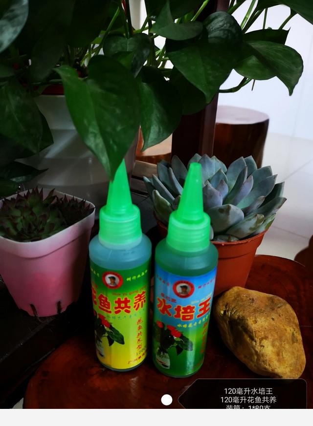 水養花卉用哪些肥料？-李花匠園藝的回答